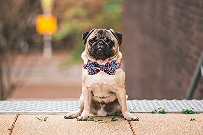 Lionheart glory Premium Floral Dog Collars, Bowtie Dog Collar, Adjustable Heavy Duty Dog Collar with Bow for Medium Dogs