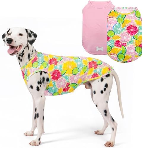 KYEESE 2Pack Dog Shirts for Medium Large Dogs Breathable Mesh Tank Top