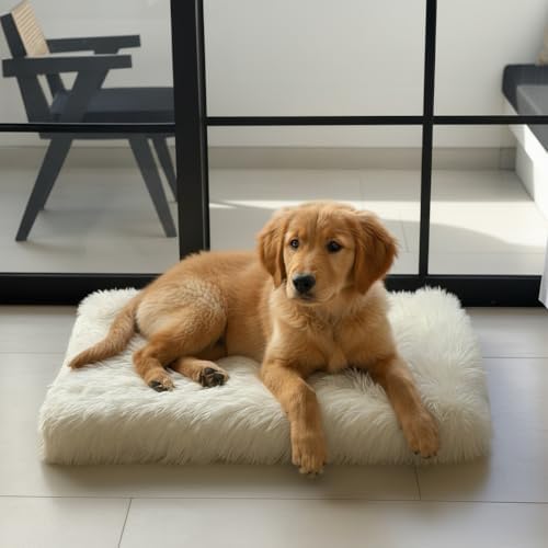 Faux Fur Orthopedic Rectangular Dog Bed, Memory Foam, White Medium 35"x23"