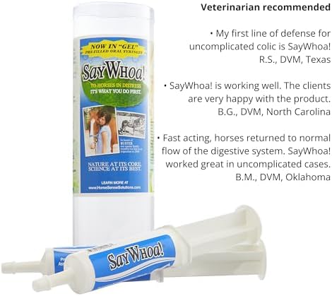 ! Gel Paste Pre-Filled Syringes