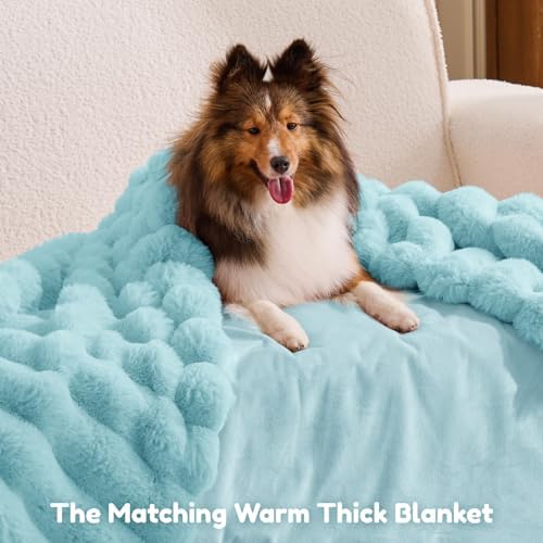 ChiXnuggle Orthopedic Human Dog Bed,Striped Faux Fur Washable Cover,Blanket
