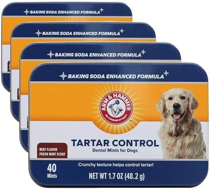 Arm & Hammer for Pets Tartar Control Dental Mints for Dogs | Dog Dental Mints Help Reduce Plaque & Tartar Buildup Without Brushing | Beef Flavor, 40 Count (Pack of 4)
