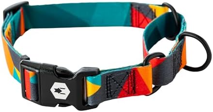 Wolfgang Heavy Duty Martingale Dog Collar with Quick Release Nylon Buckle for Walking & Training, ShatterShapes Print, Medium