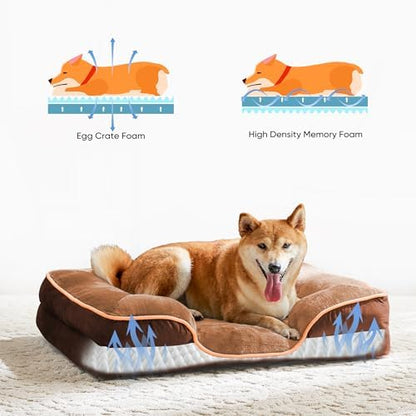 NEWBULIG 35x25 Inch Orthopedic Dog Bed for Indoor Use, Soft Surface