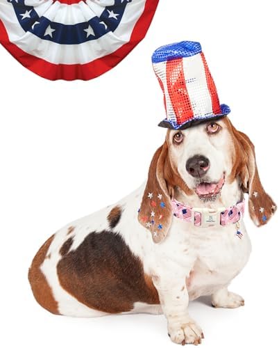 Lionheart glory American Flag Dog Collar, 4 of July Patriotic Independence Dog Collar Heavy Duty Adjustable Collars for Small Dogs Pet Gift Summer Collars