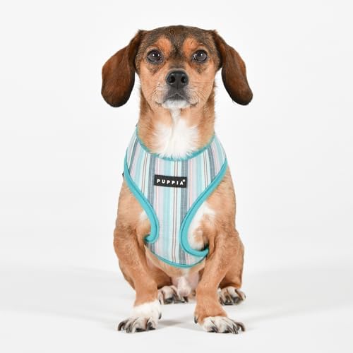 Puppia Theros Dog Harness A (Over-The-Head) Fashionable Striped Pattern Spring Summer Harness for Small and Medium Dogs, Aqua, Small