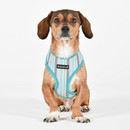 Puppia Theros Dog Harness A (Over-The-Head) Fashionable Striped Pattern Spring Summer Harness for Small and Medium Dogs, Aqua, Small