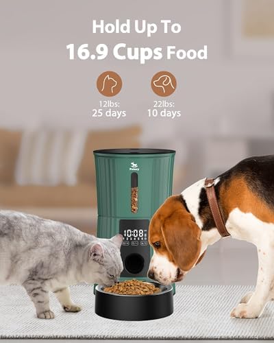Petory Timed Automatic Cat Feeder - 4L Dry Food Dispenser for Cats and Dogs