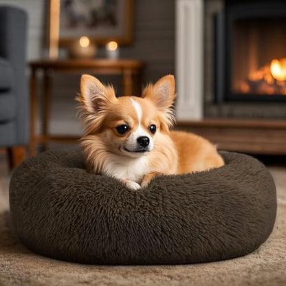 Hoewina Dog & Cat Bed, 20in Cat Beds for Indoor Cats (Coffee)