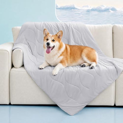 Luciphia Cooling Dog Blanket, Q-MAX>0.5 Pet Throw for Couch, Crate & Bed