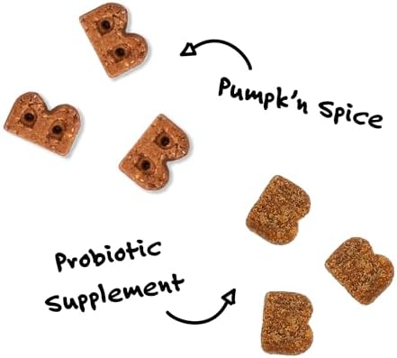 Bocce's Bakery Pumpk'n Spice Soft Dog Treat + Probiotic Supplement Bundle