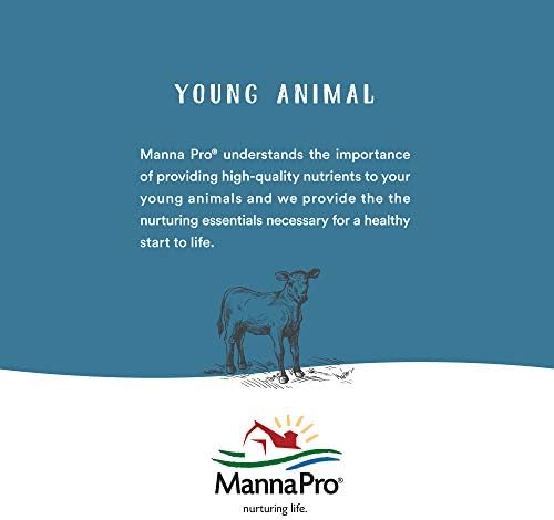 Manna Pro Chicken Feed | 16% Chicken Food with Probiotic Pellets, Layer Feed | 16 lbs (Pack of 2)