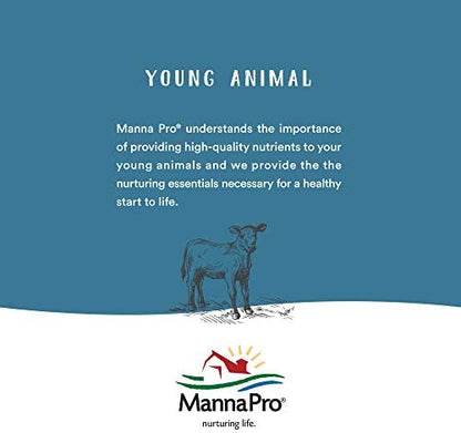 Manna Pro Chicken Feed | 16% Chicken Food with Probiotic Pellets, Layer Feed | 16 lbs (Pack of 2)