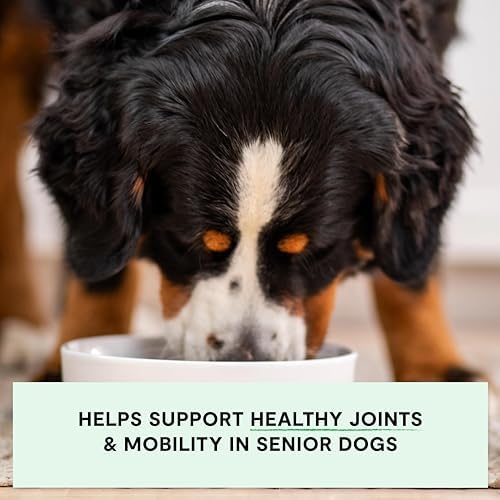 Open Farm Grain Free Dry Dog Food, Senior Dog Kibble, 4lb Bag