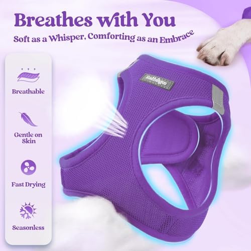 rabbitgoo Dog Harness Medium Sized and Leash Set, Step-in Puppy Pet Vest