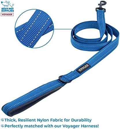 Best Pet Supplies Voyager Step-in Lock Pet Harness w Reflective Pet Leash Combo Set with Neoprene Handle 5ft - Supports Small, Medium and Large Breed Puppies/Cats - Royal Blue, XXXS