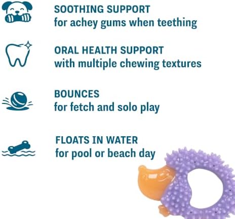 Cutie Chewies Hedgehog Dental Dog Chew Toy, Bounces & Floats, 5"