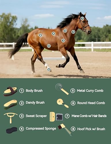 Horse Grooming Kit, 9 Piece Grooming Brush Set with Silicone Curry Comb for Bathing & Shedding Pasture Glow