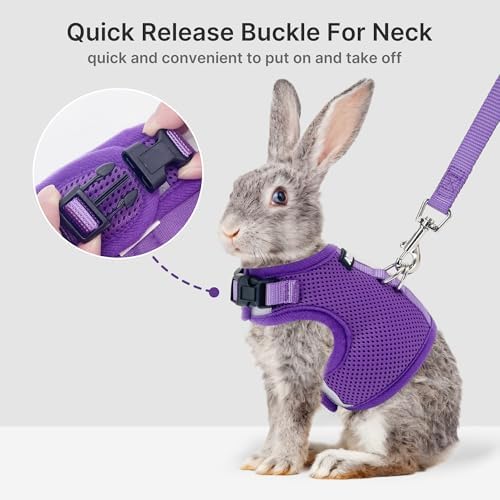 AIITLE Adjustable Rabbit Harness and Leash Set Escape Proof, Purple M