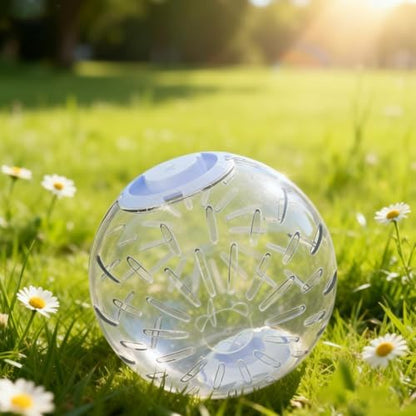 7.9 inch Hamster Ball, Exercise Toys, Running Clear Plastic Balls, Large Space, Easy to Clean, Portable Cage, for Small and Medium Hamsters, Syrian Dwarf Hamster (Blue)