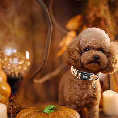 Dog Collars - Thanksgiving Turkey Print, Soft & Adjustable, Gift for Small Dogs
