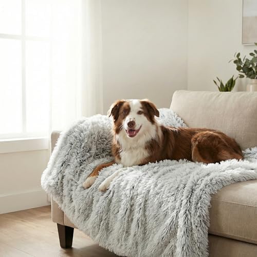 PJYuCien Lightweight and Portable Soft Dog Blanket, 50"x60", Gray