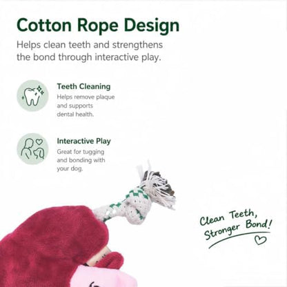 Green Sheep Puppy Plush Dog Toy, No Stuffing Squeaky Toy with Recycled Cotton Rope for Teething, Comfort and Gentle Play, Small Dogs and Puppies, Chew Toy, Mushroom