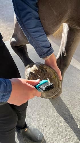 Horse Hoof Pick with Brush - Non-Slip Ergonomic Handle, Heavy-Duty Steel Pick & Stiff Bristles - Removes Dirt, Mud & Rocks - Horse Grooming Tool for Daily Hoof Care (Pink)