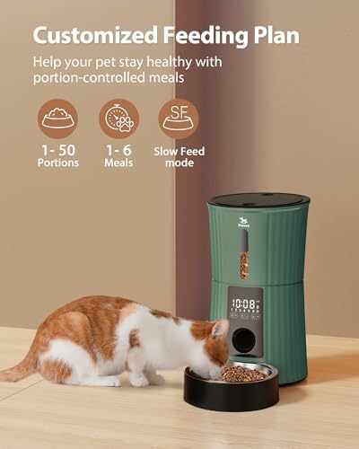 Petory Timed Automatic Cat Feeder - 4L Dry Food Dispenser for Cats and Dogs