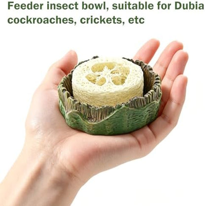 Cockroach Water Basin & 3 Loofah Set, Dubia Roaches Live Habitat Reptile Container Supplies for Terrariums & Enclosures, Comfortable Habitat for Roaches Live, Isopods, Springtails, Crickets