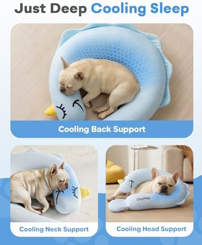BurgeonNest Cooling Small Dog Pillow for Puppies and Cats,(Cool Blue, Large)