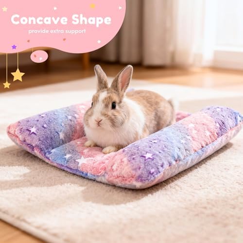Rabbit Bed with Pillows, Dual-Sided 17"x15" Washable Lounger Pad