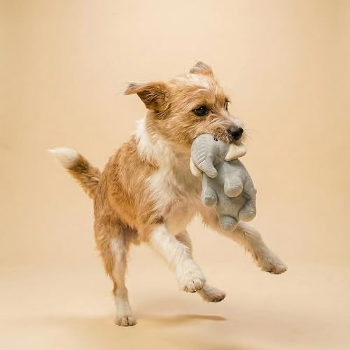 Premium Plush Dog Toy - Elephant Plush Dog Toy, Medium Eco Friendly