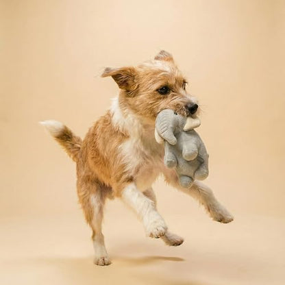 Premium Plush Dog Toy - Elephant Plush Dog Toy, Medium Eco Friendly