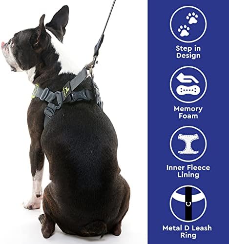 Gooby, Medium Green Memory Foam Escape Free Harness with 4-Point Adjustment for Small Dogs
