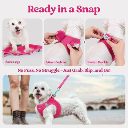 rabbitgoo Dog Harness Small Sized and Leash Set, Step-in Puppy Pet Vest
