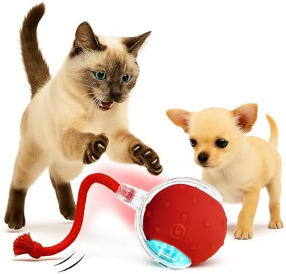 2025 New Interactive Pet Toy Ball for Indoor Cats & Small Dogs – Motion-Activated Automatic Rolling Ball with Chirping Sounds, Elastic Tail, Smart Rechargeable Toy to Keep Pets Active.