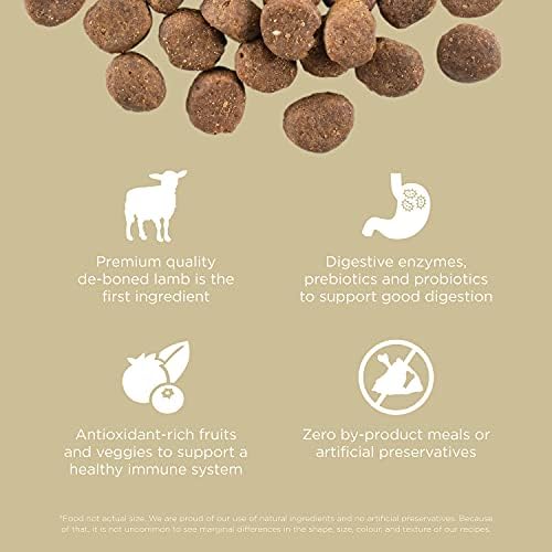 Go! Solutions Carnivore Lamb + Wild Boar Grain-Free Dry Dog Food, Our Highest-Protein Kibble Made with Real Meat, Pumpkin & Probiotics for Good Digestion, for Puppies, Adults & Seniors, 22 lb Bag