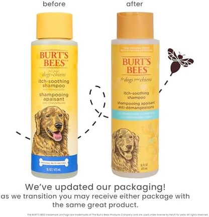Burts Bees for Pets Itch Soothing Dog Shampoo, Honeysuckle, 16 Fl Oz