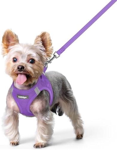 rabbitgoo Dog Harness Small Sized and Leash Set, Step-in Puppy Pet Vest