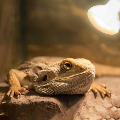 60W Reptile Heat Lamp Bulbs, Upgraded UVA Basking Spot Light