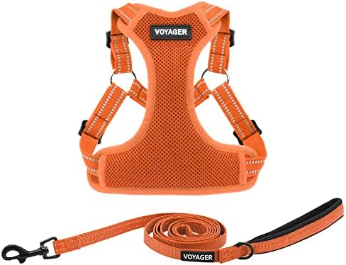 Best Pet Supplies Voyager Adjustable Step-in Flex Breathable Mesh Dog Harness for Small Medium Large Dogs Leash Set (Orange), XL
