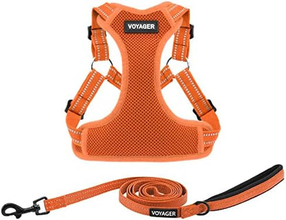 Best Pet Supplies Voyager Adjustable Step-in Flex Breathable Mesh Dog Harness for Small Medium Large Dogs Leash Set (Orange), M