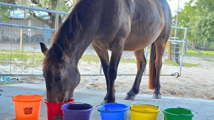 Hydration Mix - Horse Water Buffet Variety Samplers - No Sugar Added - Low Calorie Feed Topper & Treat