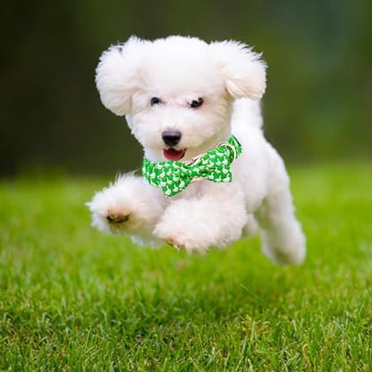 Summer Green Gooses Print Dog Collar with Bow for Small Dogs