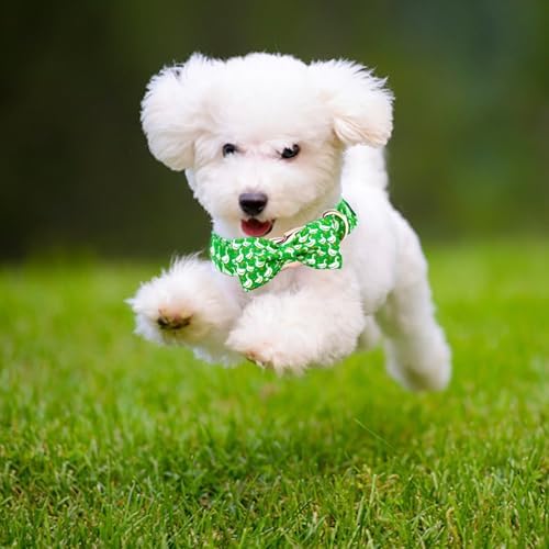 Summer Green Gooses Print Dog Collar with Bow for X-Small Dogs