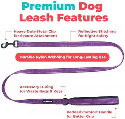 Best Pet Supplies Voyager Nylon Dog Leash - Purple, Small