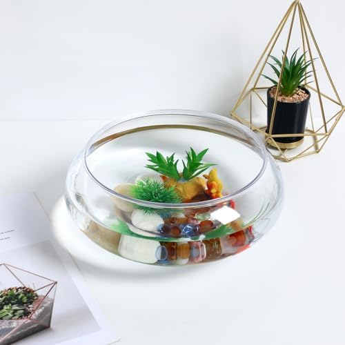 VANZACK Transparent Aquarium Tank Desktop Betta Tank Shallow Acrylic Fish Bowl for Goldfish Plants and Aquatic Pets Home Office Decor 9.52 X 9.52 X 3.93 in 1 Fish