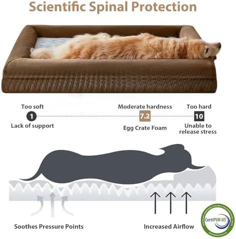 WNPETHOME Giant Dog Bed Orthopedic for Senior Dog Bed Comfy Sleeping