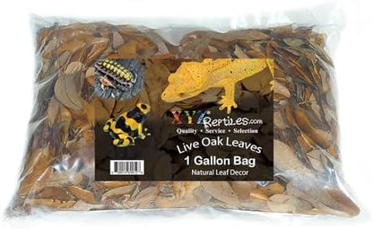 XYZReptiles Premium Live Oak Leaf Litter Isopod Substrate Terrarium Bedding (1 Gallon)